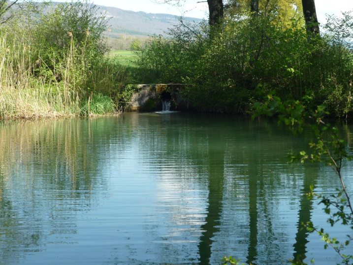 Entre La Rippe et&nbsp;Tranchepied